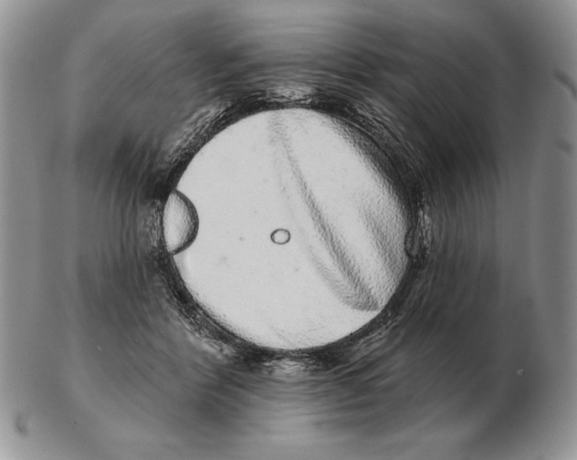 X0000102400412200808221852