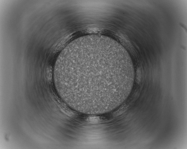 X0000102400413200808221852