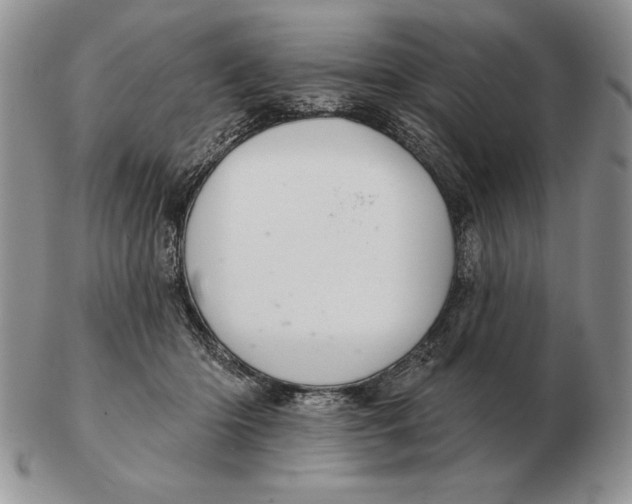 X0000102400414200808221852