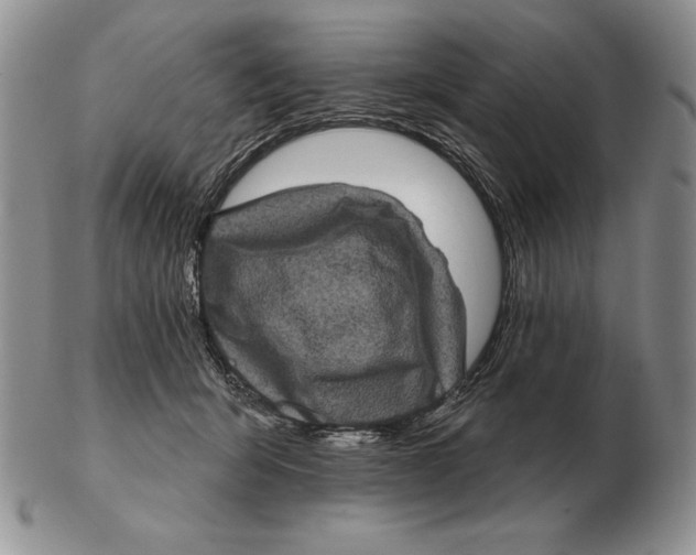 X0000102400415200808221852