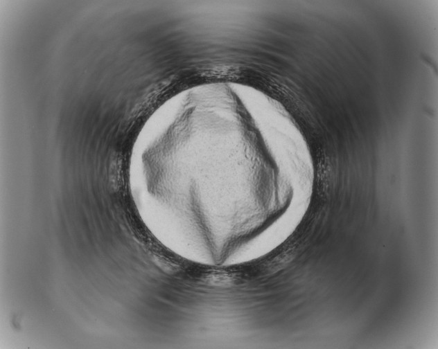 X0000102400416200808221852