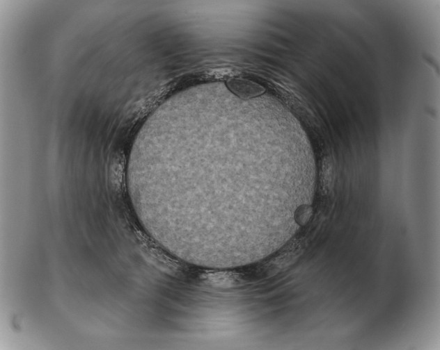 X0000102400417200808221852