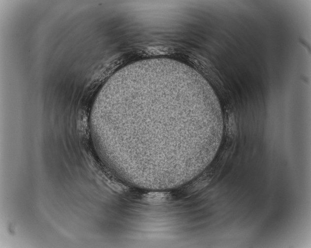 X0000102400418200808221852