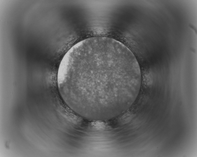 X0000102400419200808221852