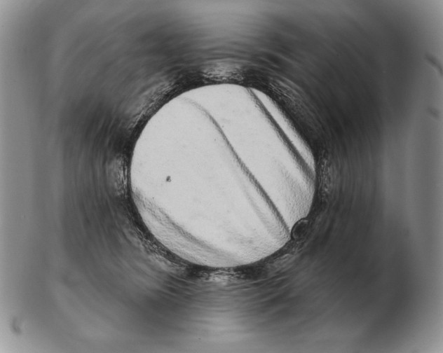 X0000102400420200808221852