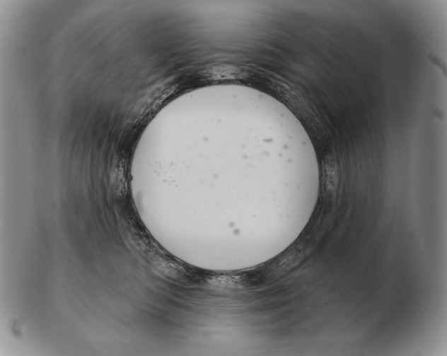X0000102400422200808221852