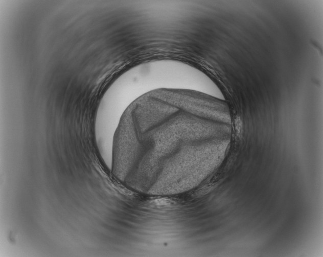 X0000102400423200808221852