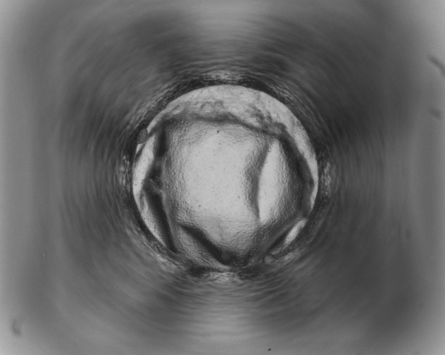 X0000102400424200808221852