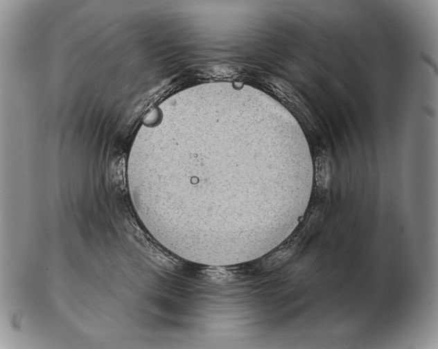 X0000102400425200808221852
