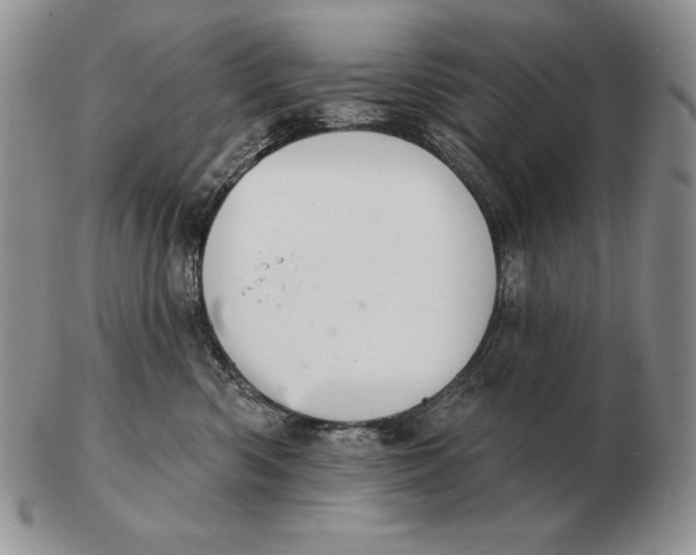 X0000102400426200808221852