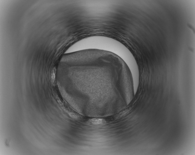 X0000102400427200808221852