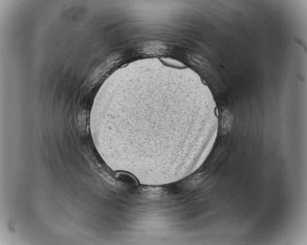 X0000102400428200808221852