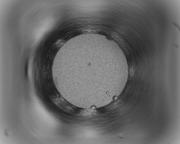 X0000102400429200808221852