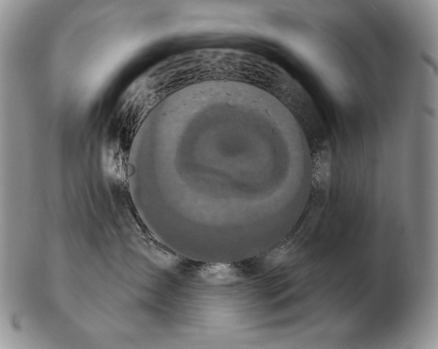 X0000102400431200808221852