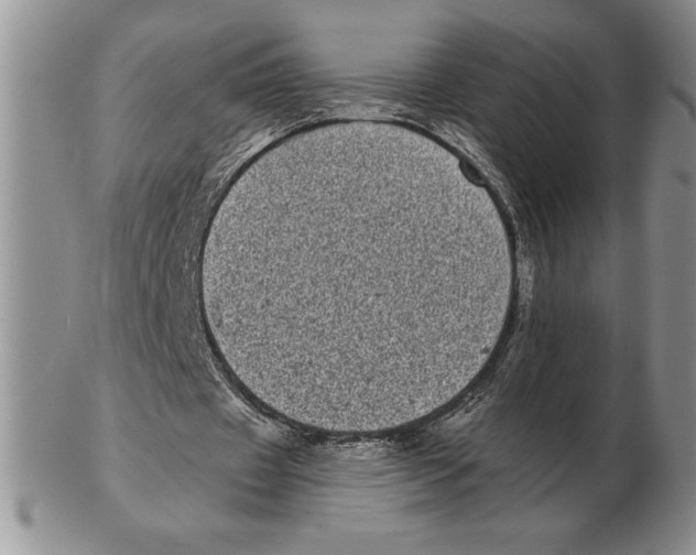 X0000102400433200808221851