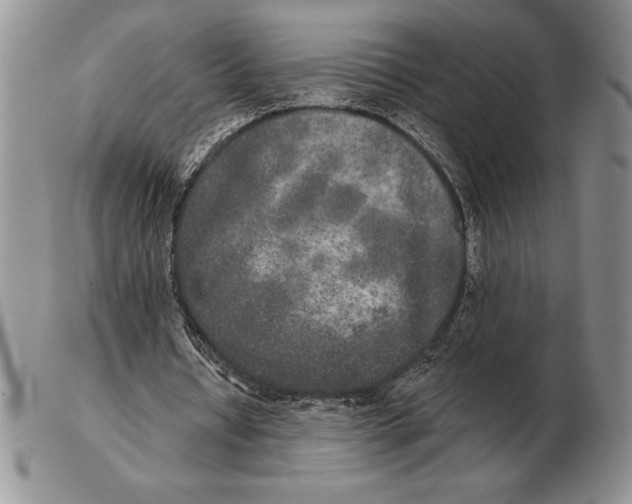 X0000102400434200808221851