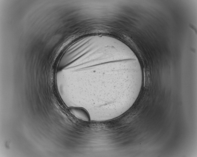 X0000102400435200808221851