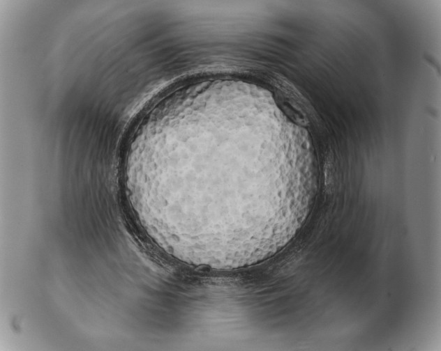 X0000102400436200808221851