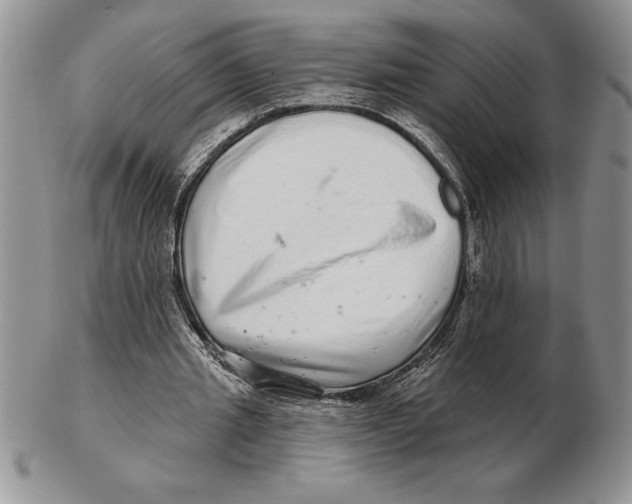X0000102400437200808221851