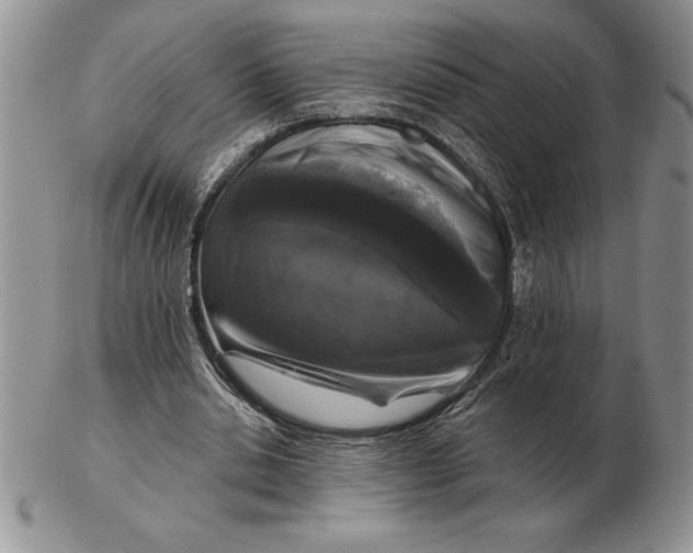 X0000102400438200808221851