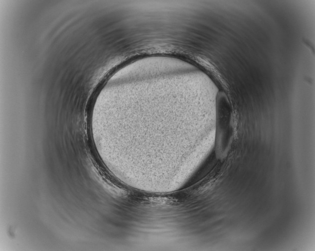 X0000102400439200808221851