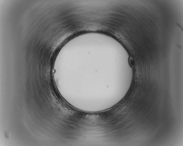 X0000102400440200808221851