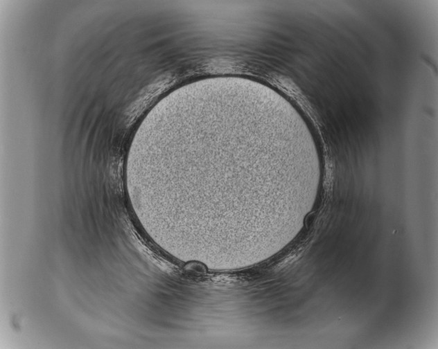 X0000102400441200808221851