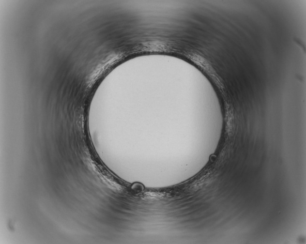 X0000102400442200808221851