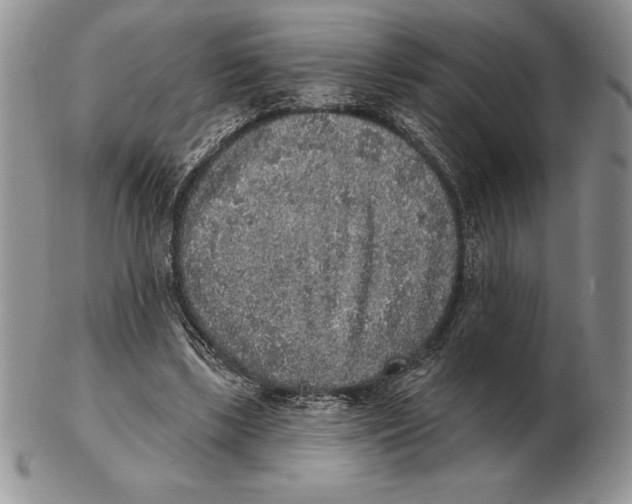 X0000102400443200808221851