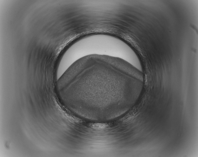 X0000102400444200808221851