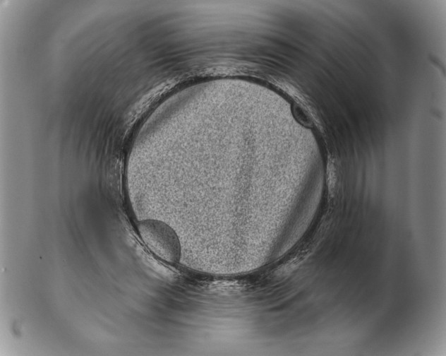 X0000102400445200808221851