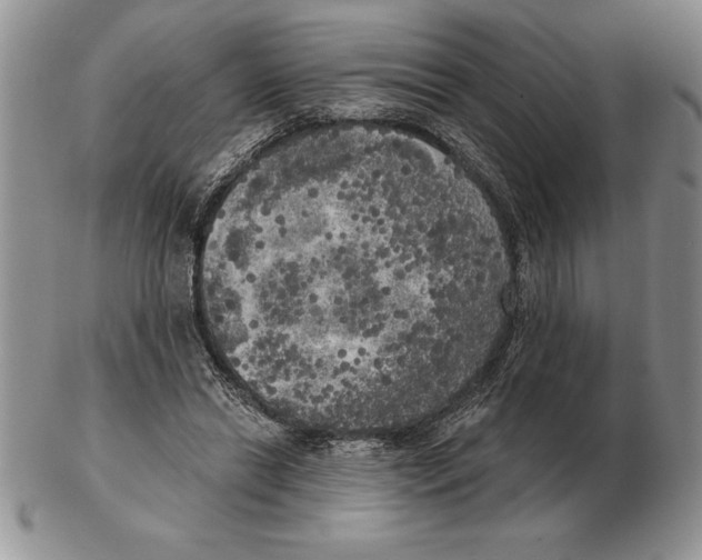 X0000102400446200808221851