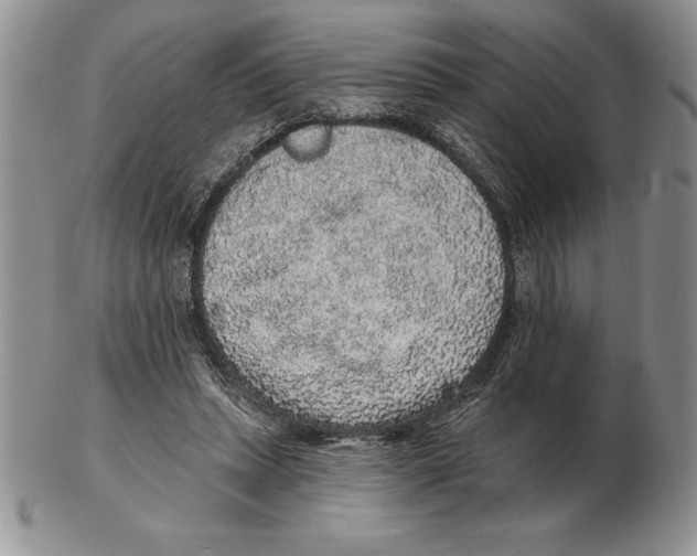 X0000102400447200808221851