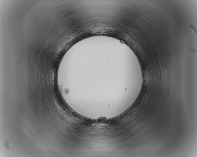 X0000102400448200808221851