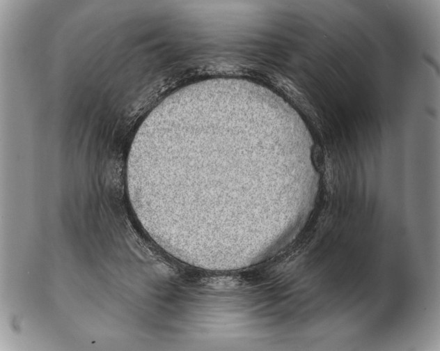 X0000102400449200808221851