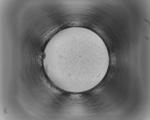 X0000102400450200808221851