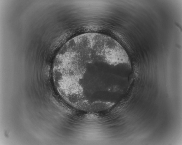 X0000102400451200808221851