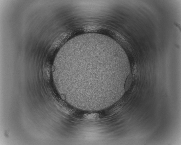 X0000102400452200808221851