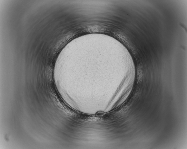 X0000102400453200808221851