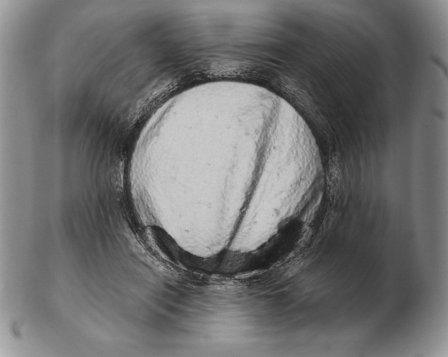 X0000102400454200808221851