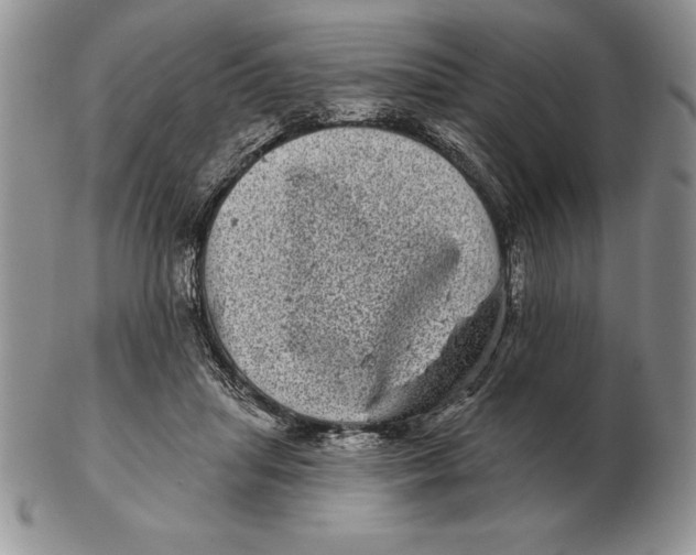 X0000102400455200808221851