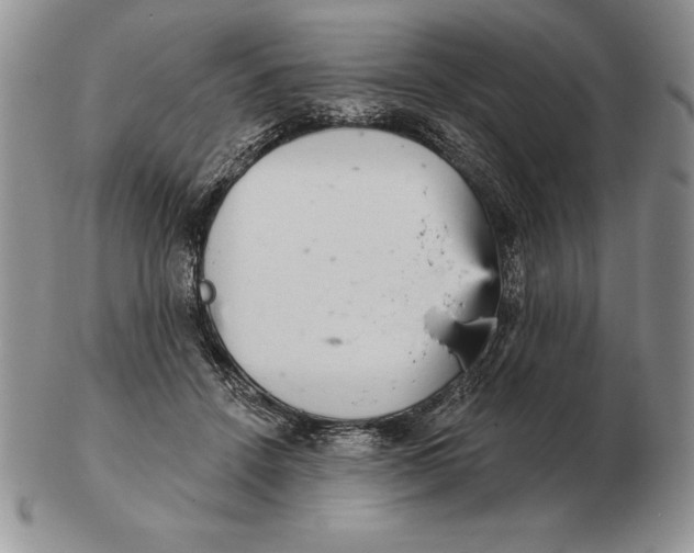 X0000102400456200808221851