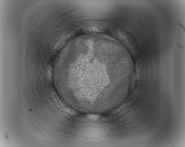 X0000102400457200808221851