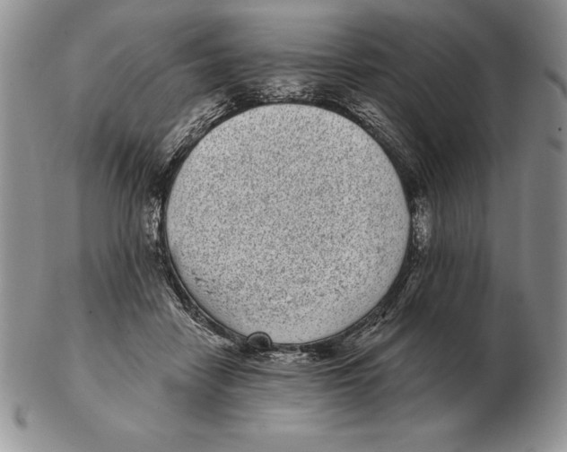 X0000102400458200808221851