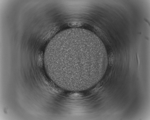 X0000102400460200808221851