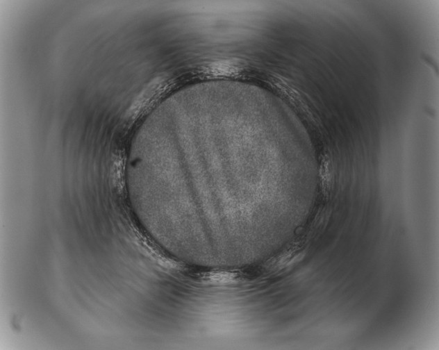 X0000102400462200808221851