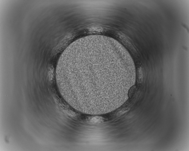 X0000102400463200808221851