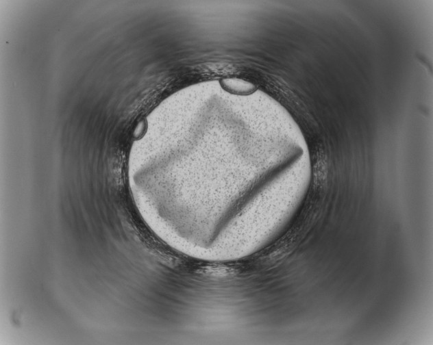 X0000102400464200808221851