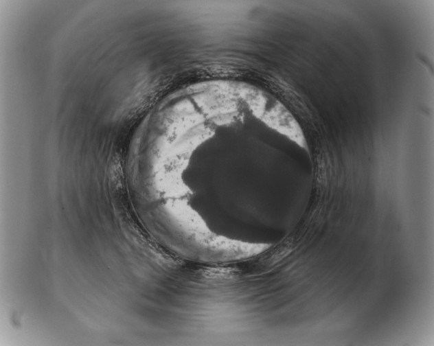 X0000102400465200808221852