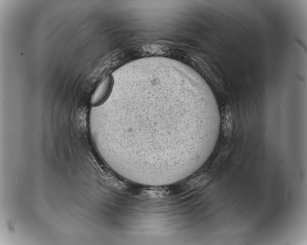 X0000102400466200808221852